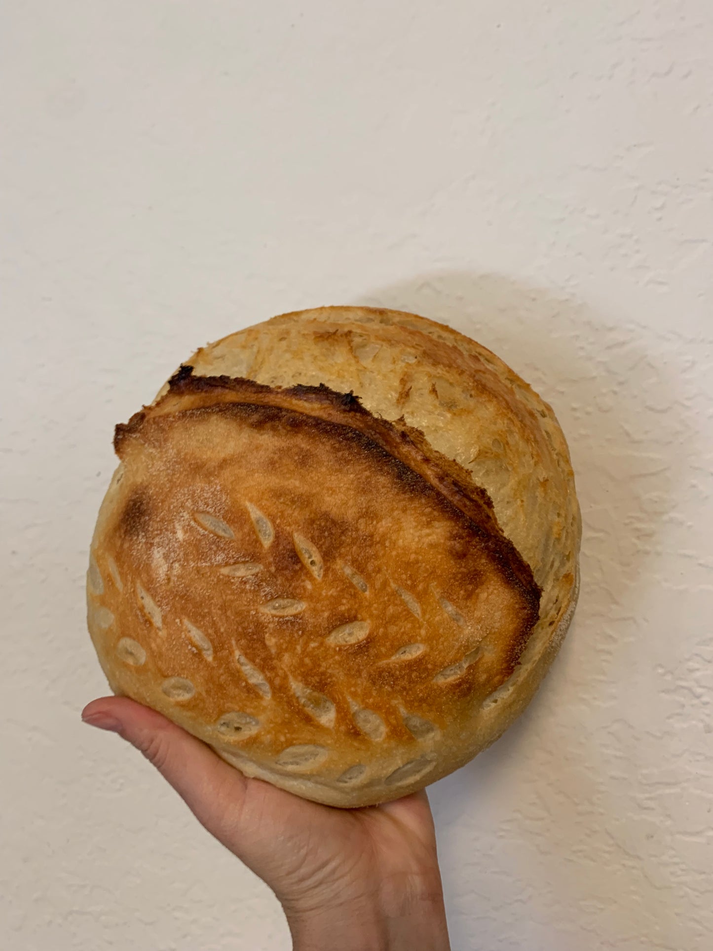 Dried Sourdough Starter
