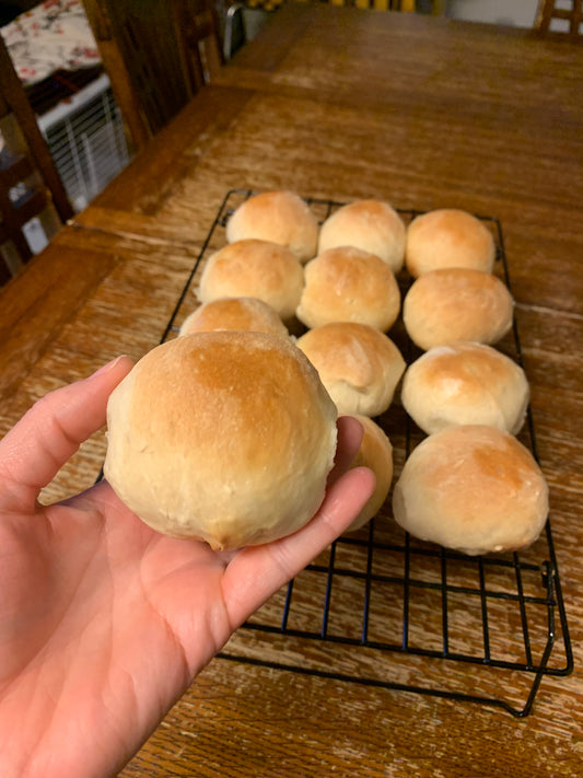 Sourdough Rolls